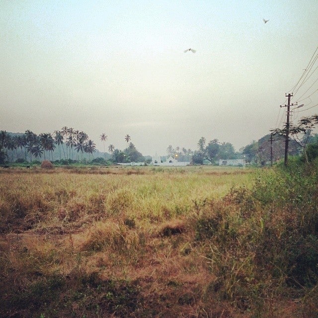 
Saligao Grounds
 in Calangute