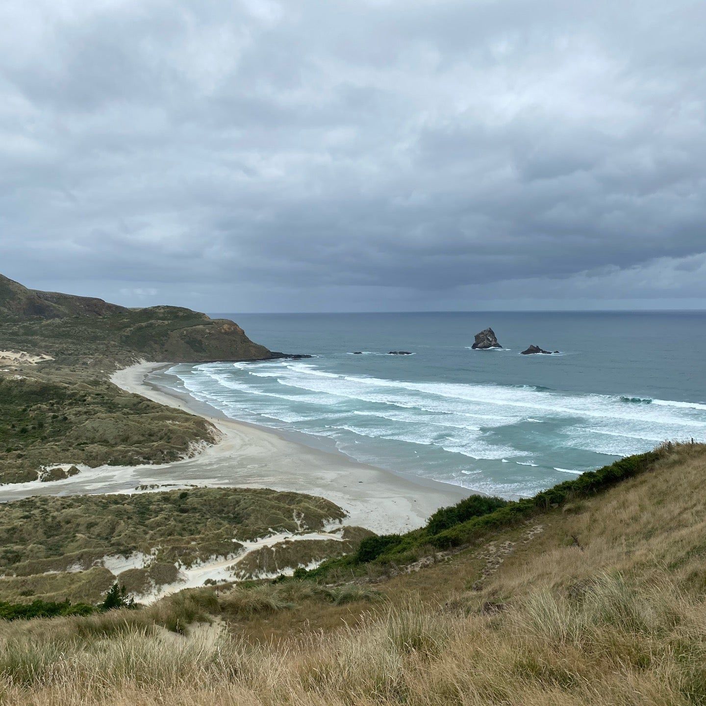 
Sandfly Bay
 in South Island