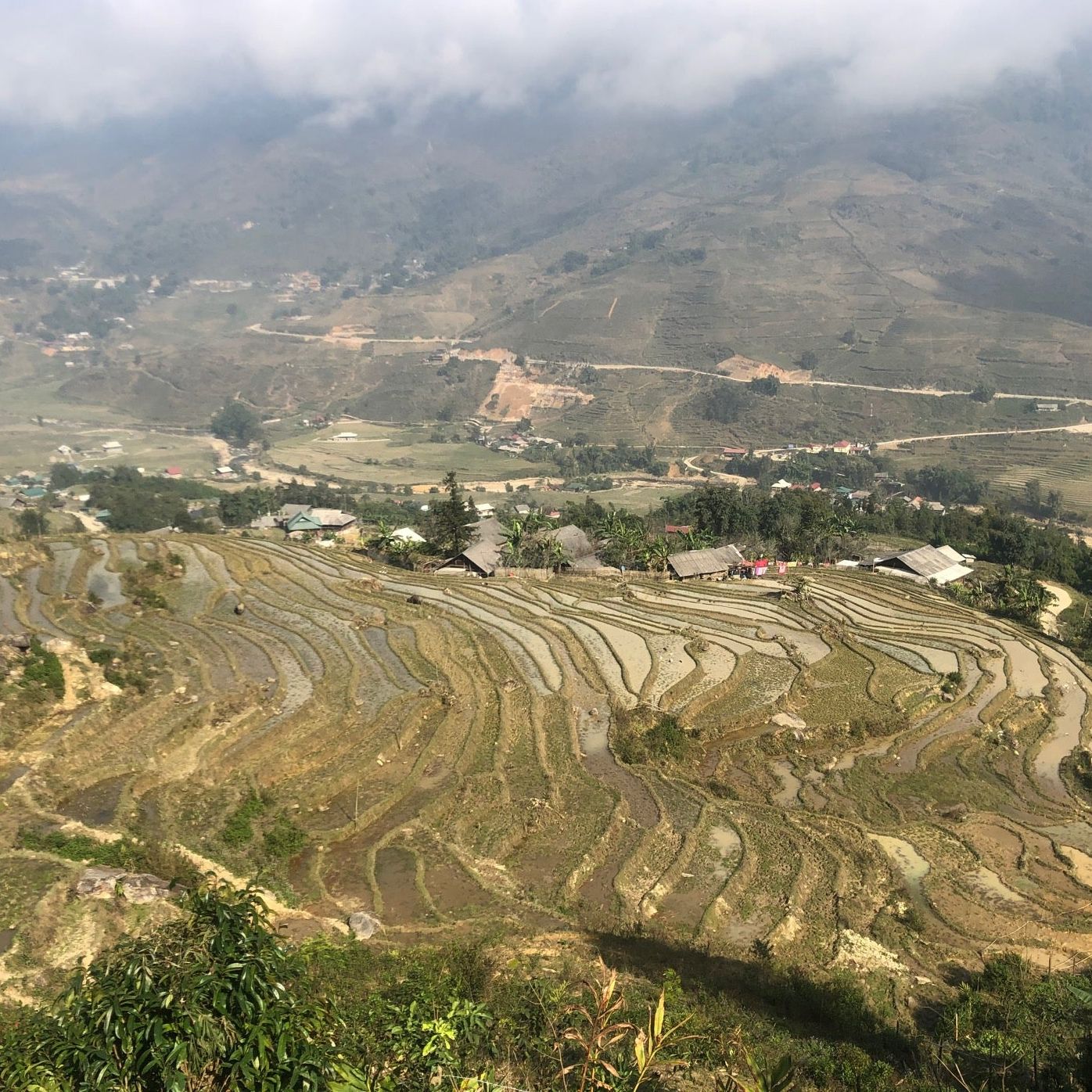 
Sapa Rice Fields
 in Sa Pa