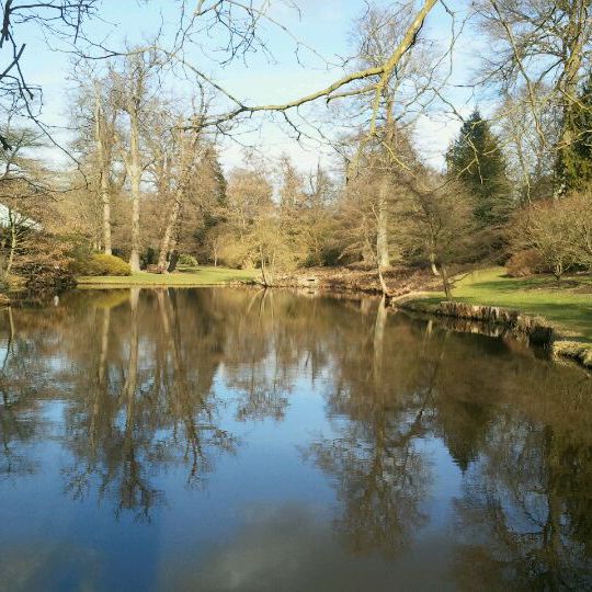 
Savill Gardens
 in Berkshire