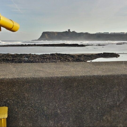 
SEA LIFE & Marine Sanctuary
 in North Yorkshire