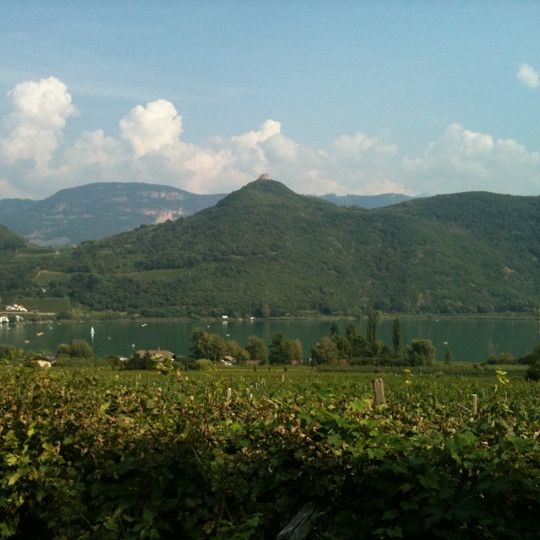 
Seehofkeller
 in Lake Caldaro