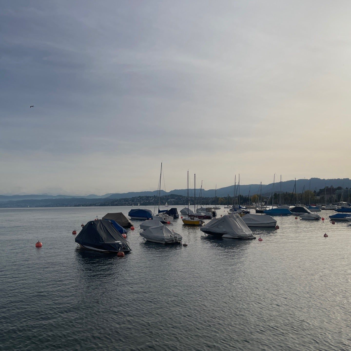 
Seepromenade
 in Switzerland