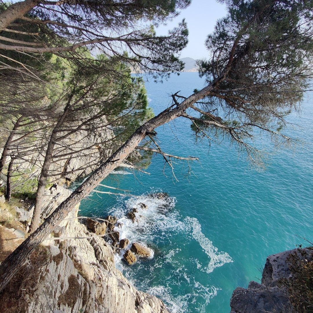 
Šetalište Petrovac - Reževići
 in Petrovac Na Moru