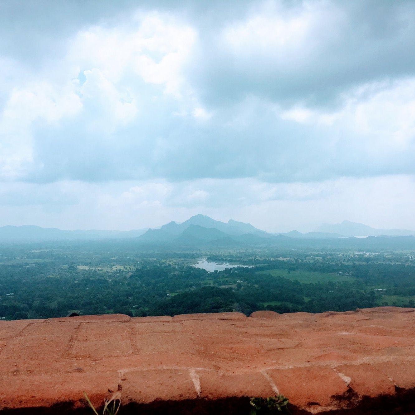 
Sigiryia Rock Fresco
 in Sigiriya