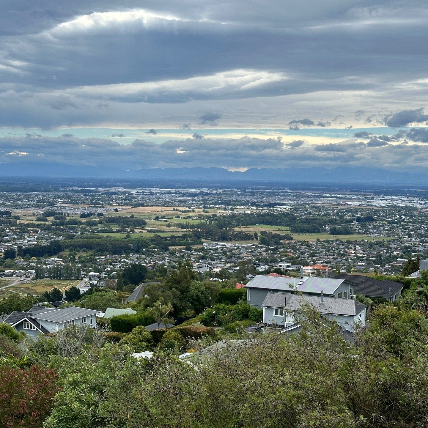 
Sign of the Takahe
 in Christchurch