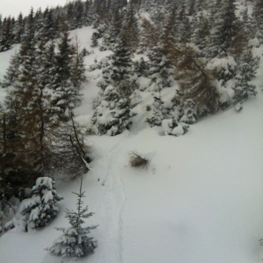 
Skigebiet Schlossalm - Bad Hofgastein / Ski amadé
 in Bad Hofgastein