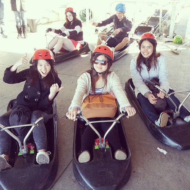 
Skyline Skyrides Luge
 in Rotorua