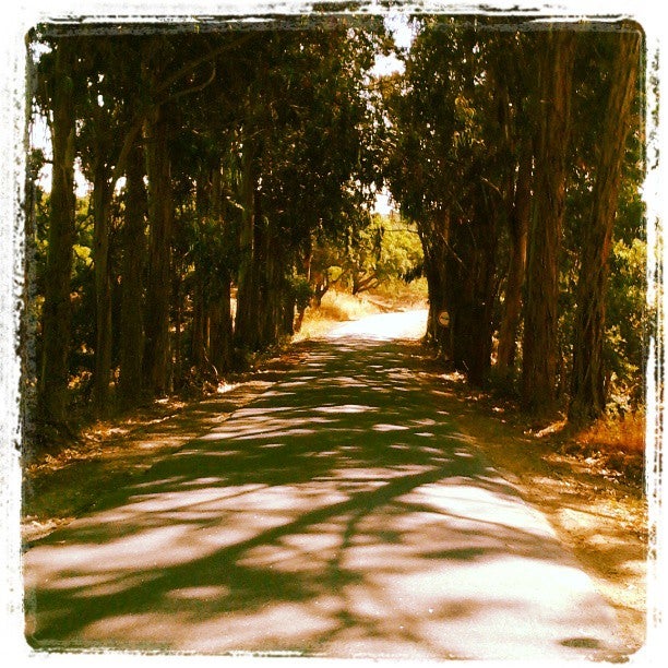 
Sobreiras Altas
 in Alentejo