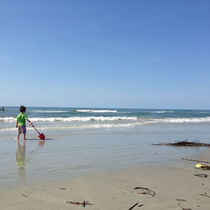 
South Forest Beach
 in Hilton Head Island