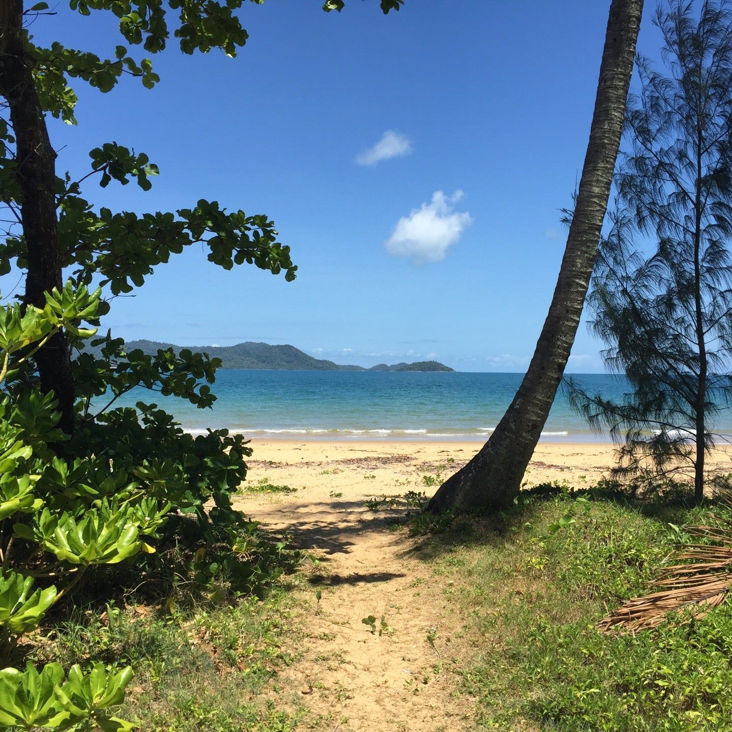 
South Mission Beach
 in Tropical North Queensland