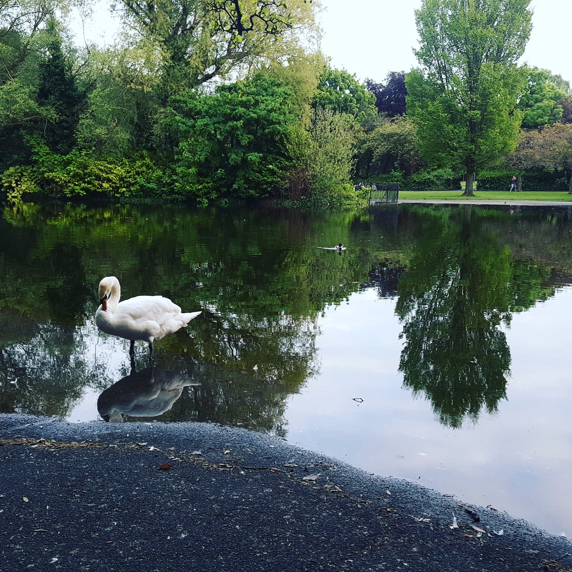 
St Stephen's Green
 in Ireland'S Ancient East