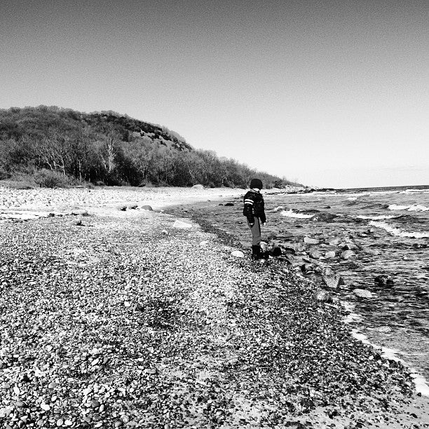 
Stenshuvuds nationalpark
 in Skåne