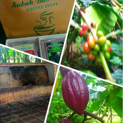 
Subak Bali Agro
 in Payangan