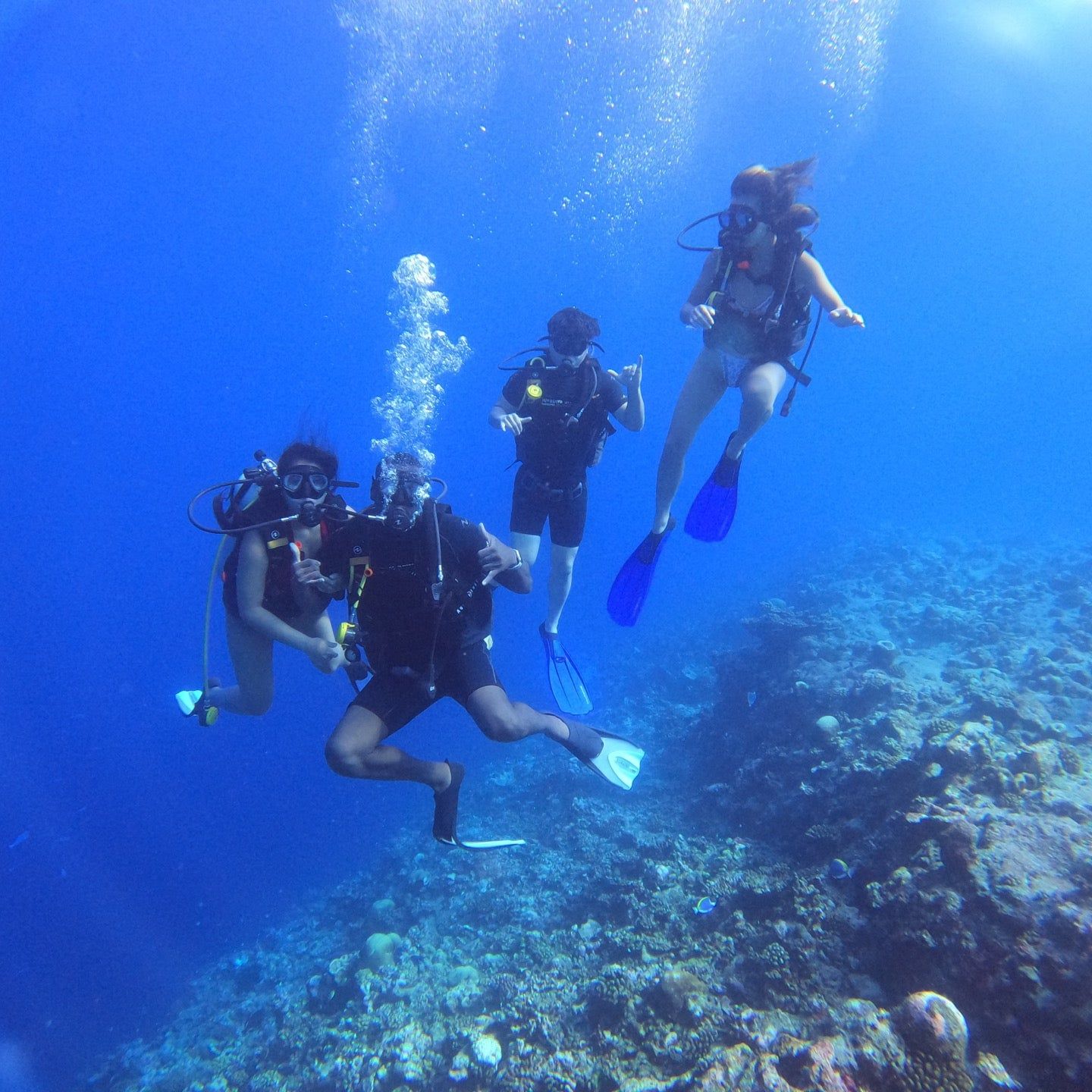 
Suvadiva Divers Maldives
 in Gaafu Alifu Atoll