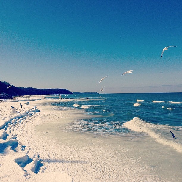 
Svetlogorsk Beach (Светлогорский пляж / Beach of Svetlogorsk)
 in Svetlogorsk