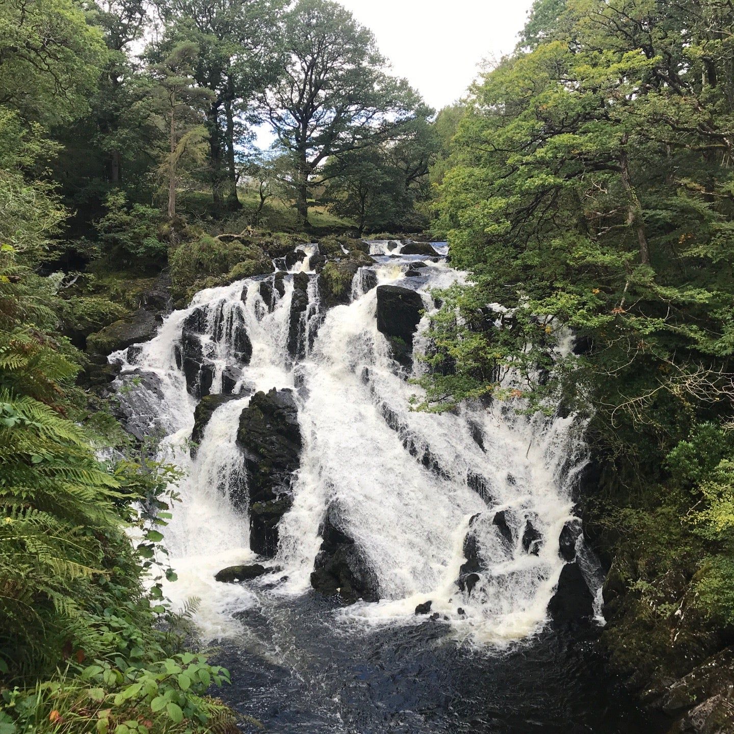 
Swallow Falls
 in Clwyd