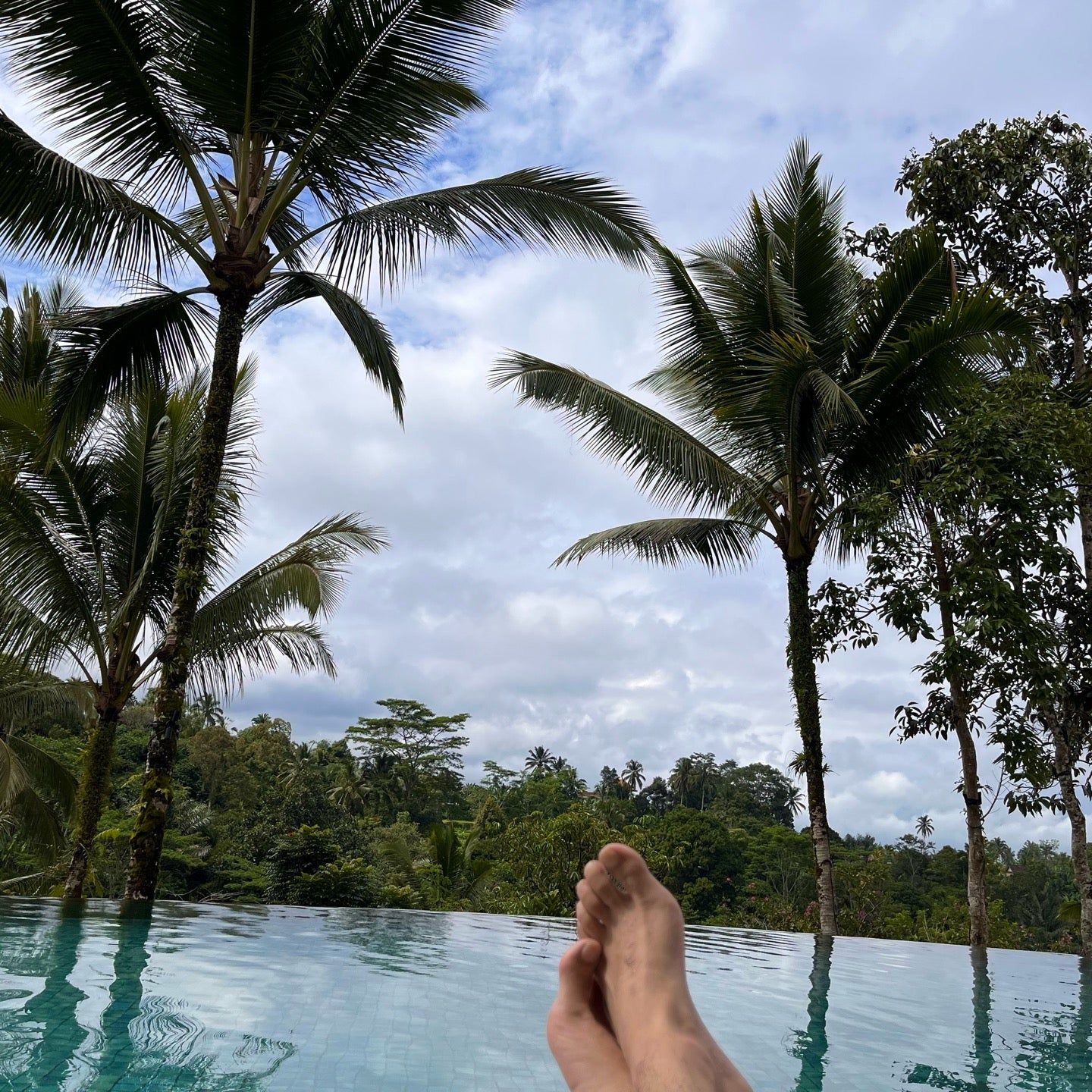 
Swimming Pool @ Padma Resort Ubud
 in Payangan