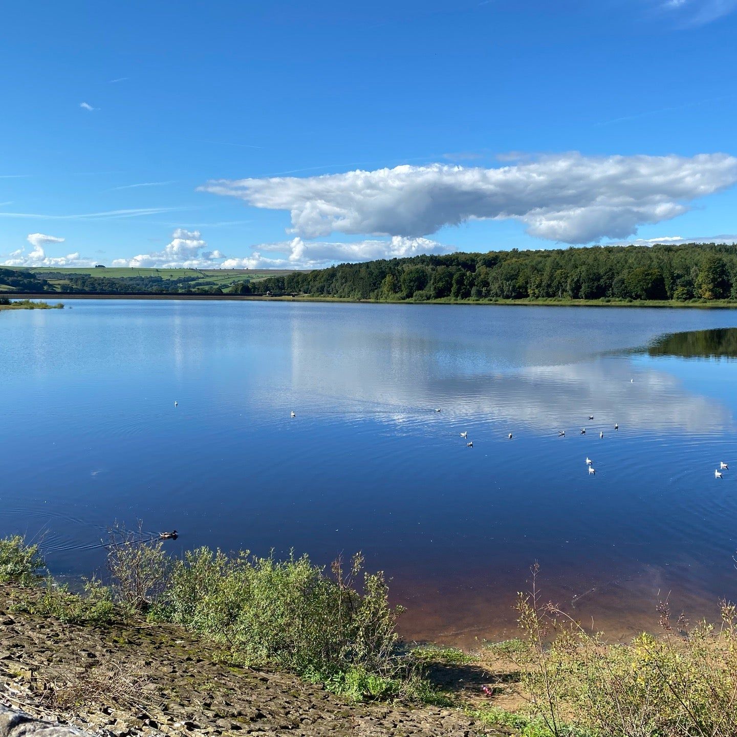 
Swinsty Reservoir
 in Harrogate