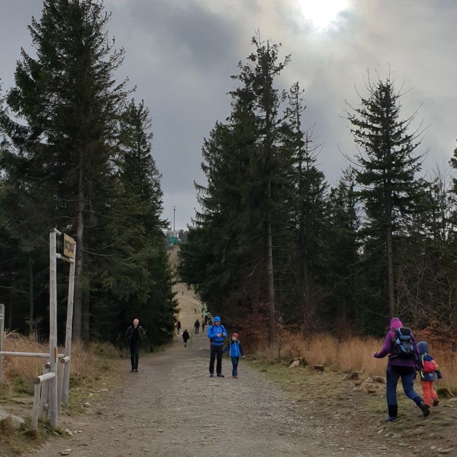 
Szyndzielnia
 in Beskid Mountains