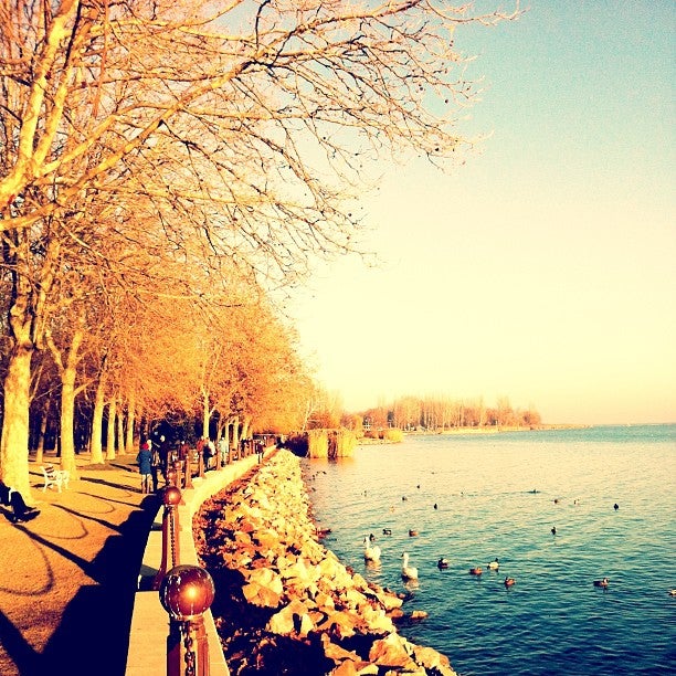 
Tagore sétány és park
 in Veszprem