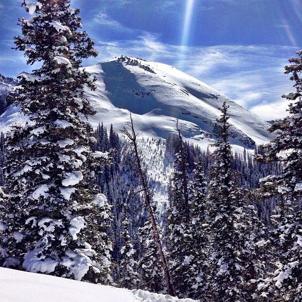 
Telluride Ski Resort
 in Telluride