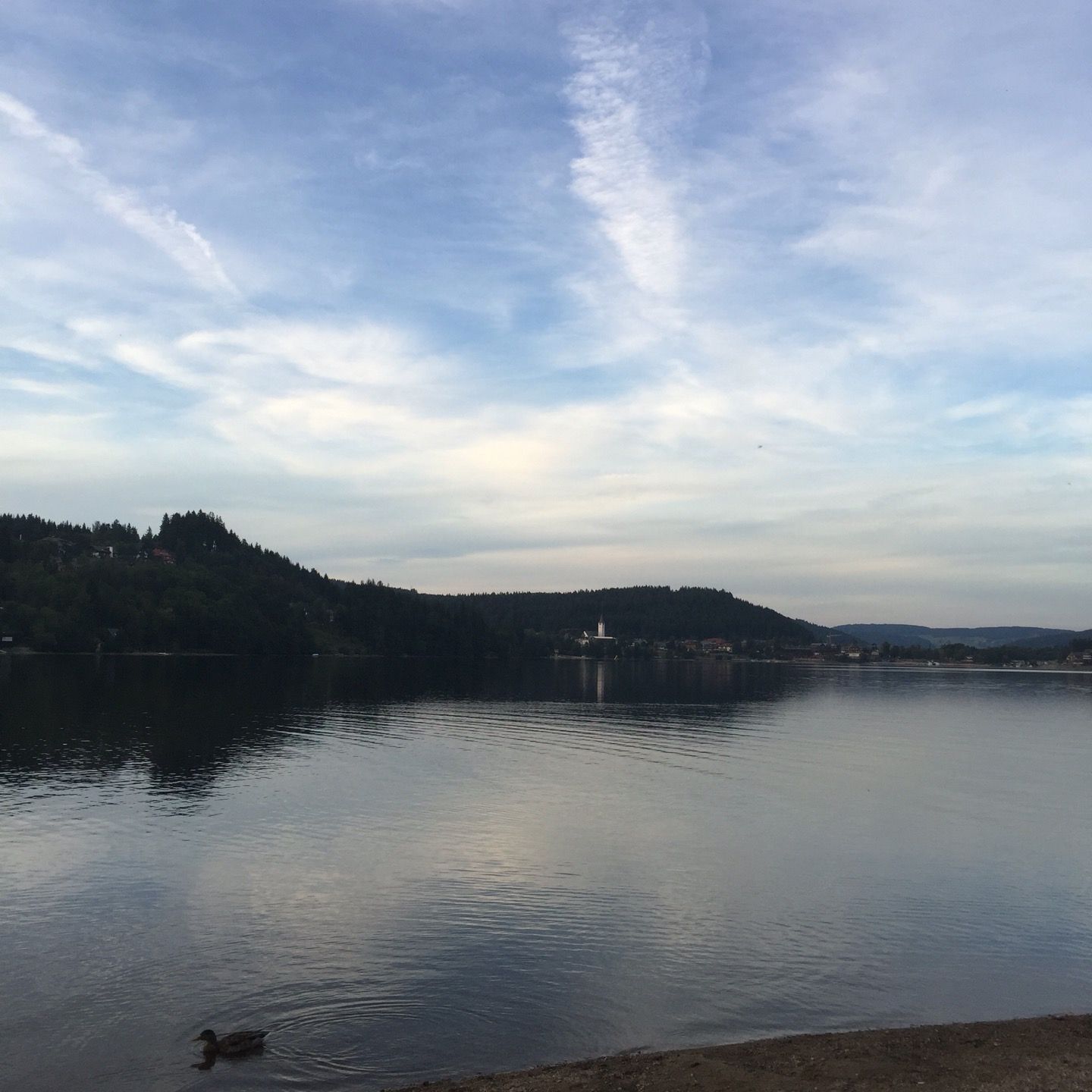 
Terrassencamping Sandbank
 in Hinterzarten