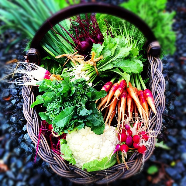 
The French Laundry Garden
 in Yountville