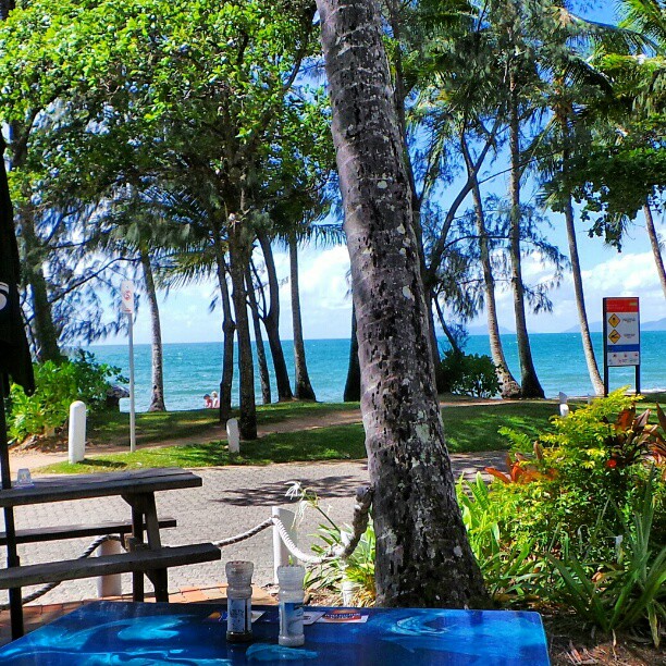 
The Rising Sun
 in Palm Cove