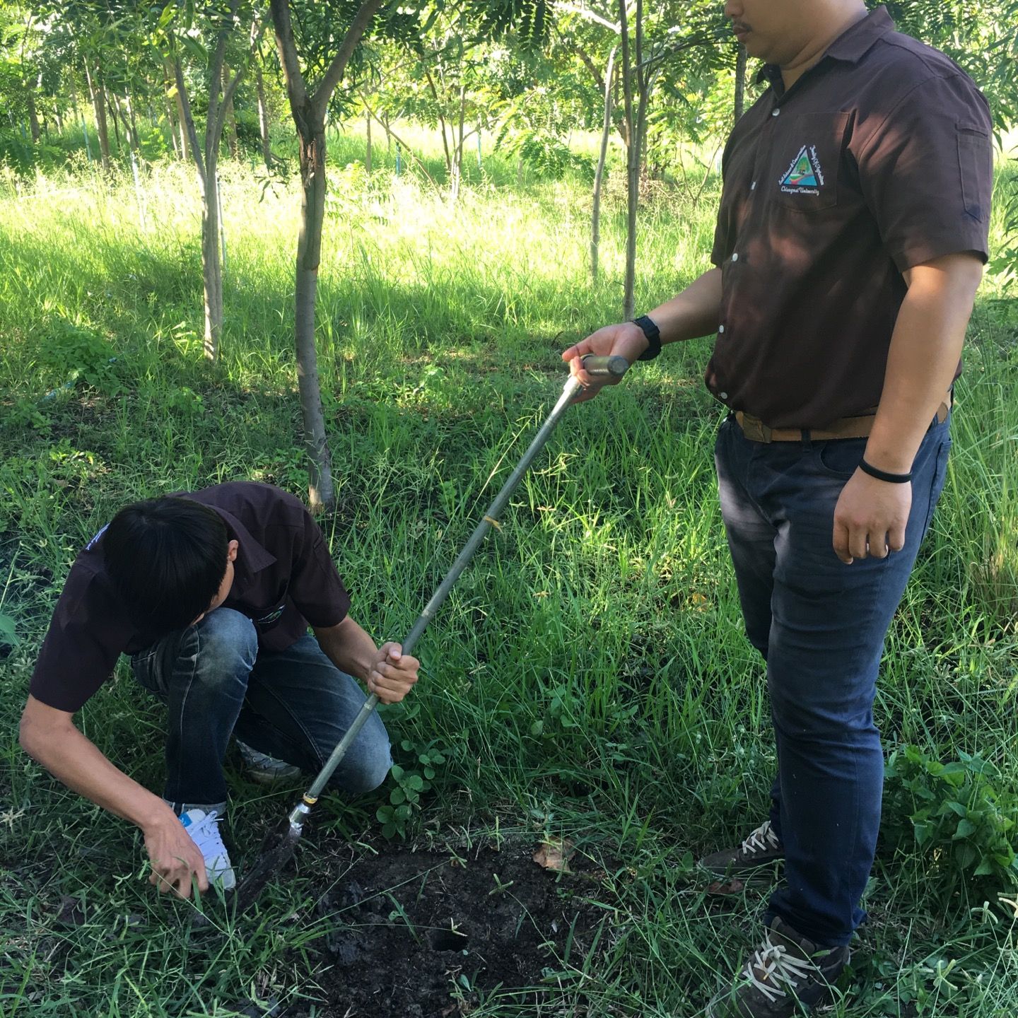 
The Sirindhorn International Environmental Park (อุทยานสิ่งแวดล้อมนานาชาติสิรินธร)
 in Cha Am Area