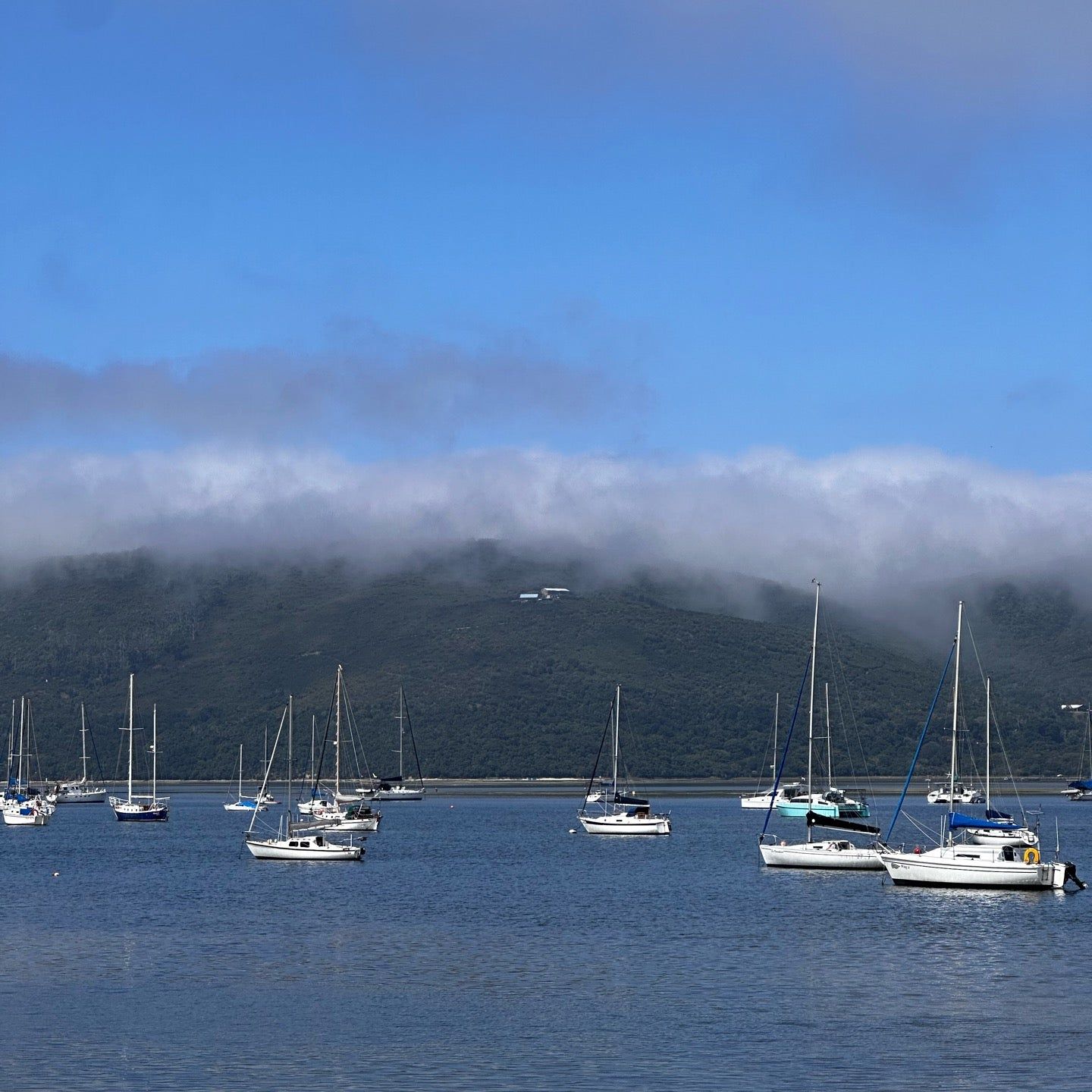 
The Waterfront Knysna Quays
 in Knysna