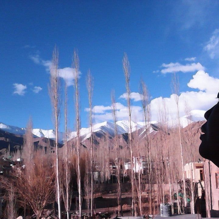 
The Zen Ladakh
 in Jammu &Amp; Kashmir