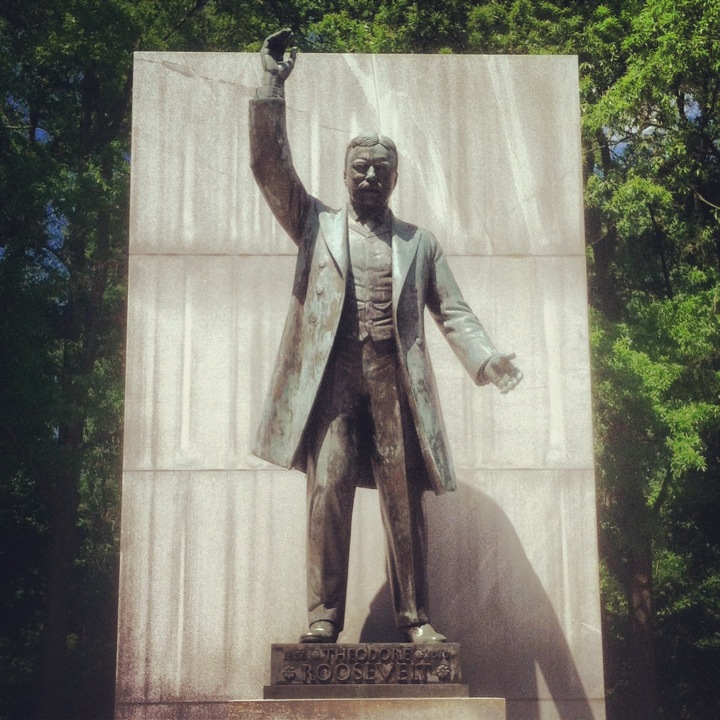 
Theodore Roosevelt Island
 in Arlington