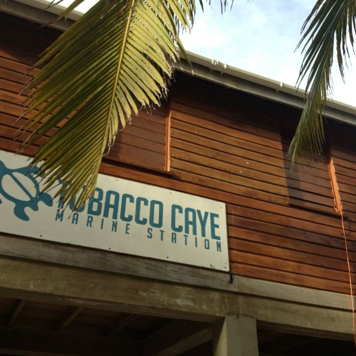 
Tobacco Caye Marine Station
 in Hopkins