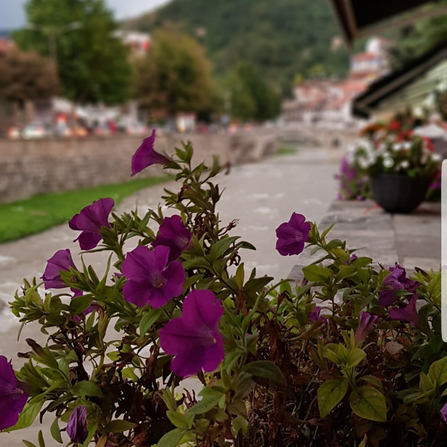 
Tomos caffe&Sandwich
 in Prizren