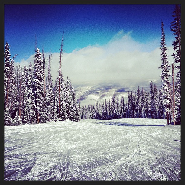 
Top Of Beaver Creek Mountain
 in Colorado Wine Country