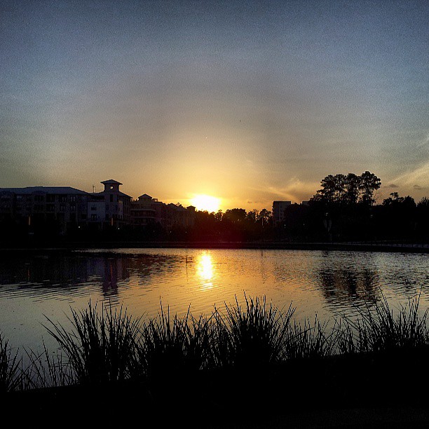 
Town Green Park
 in The Woodlands