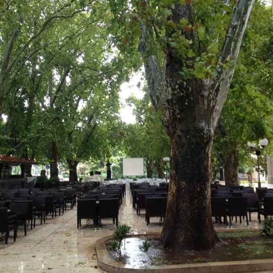 
Trebinjski gradski park
 in Trebinje