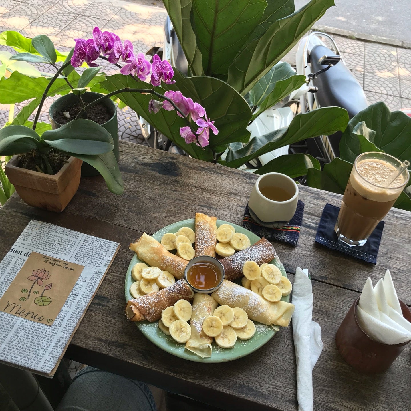 
Tree Hugger Cafe
 in Dong Hoi