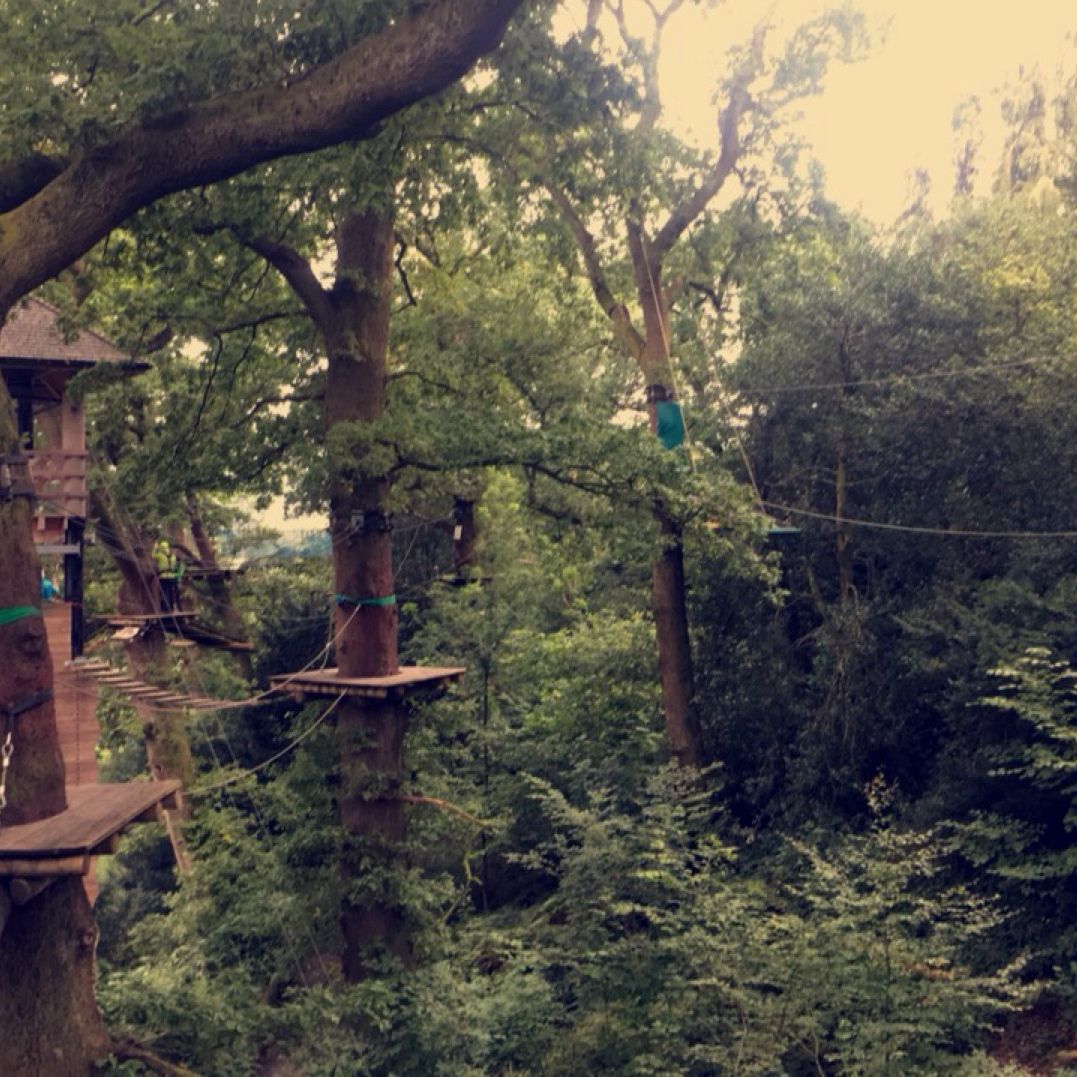 
Treetop Trek Aerial Adventure
 in Ambleside