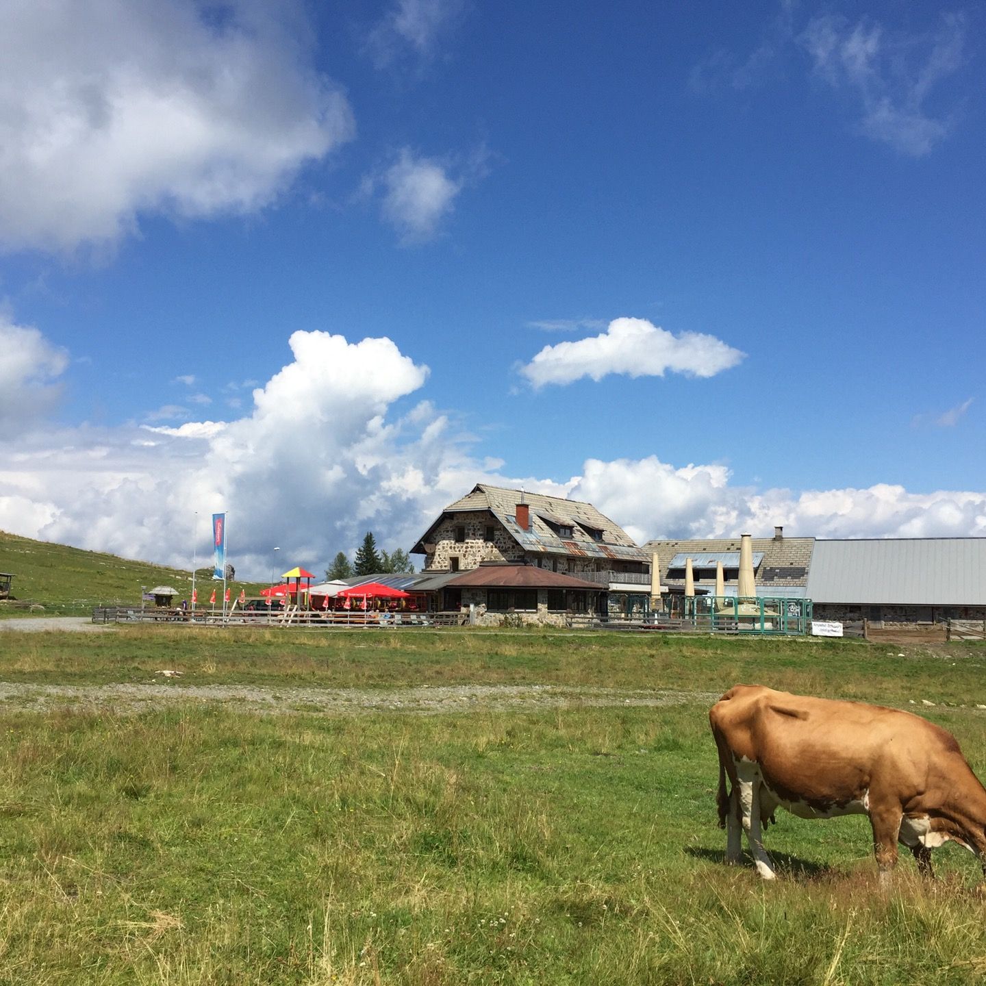 
Tressdorfer Alm
 in Carinthia