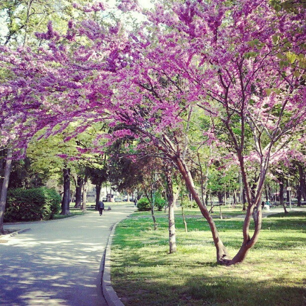 
“Tsar Simeon Garden” Park (Цар Симеонова градина)
 in Plovdiv