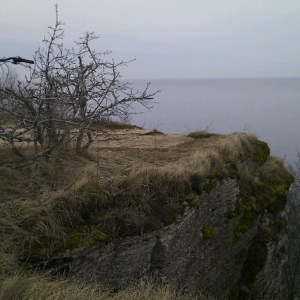 
Türisalu pank
 in Baltic Sea