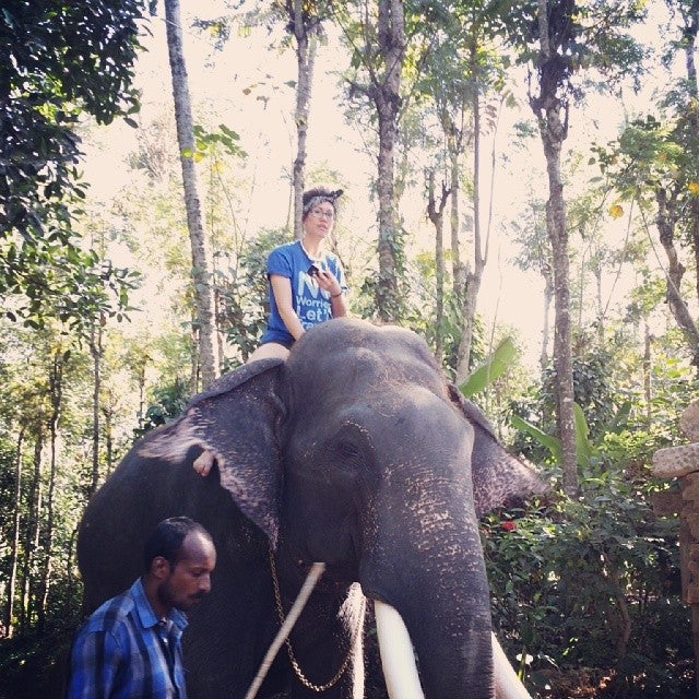 
Tusker Trail
 in Thekkady