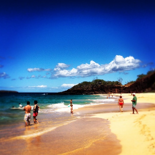 
Ulua Beach
 in Wailea