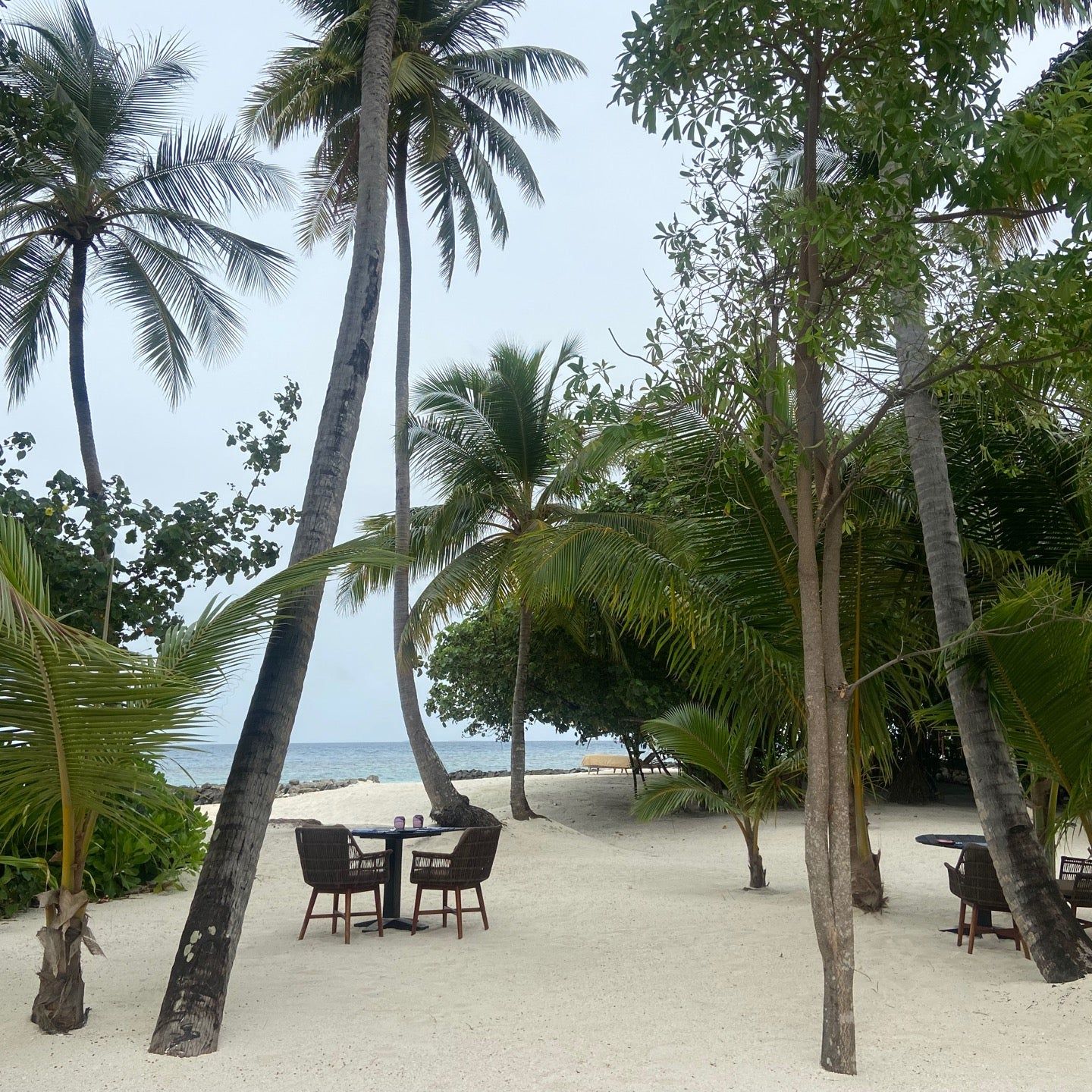 
Vandhoo Restaurant
 in Maldives