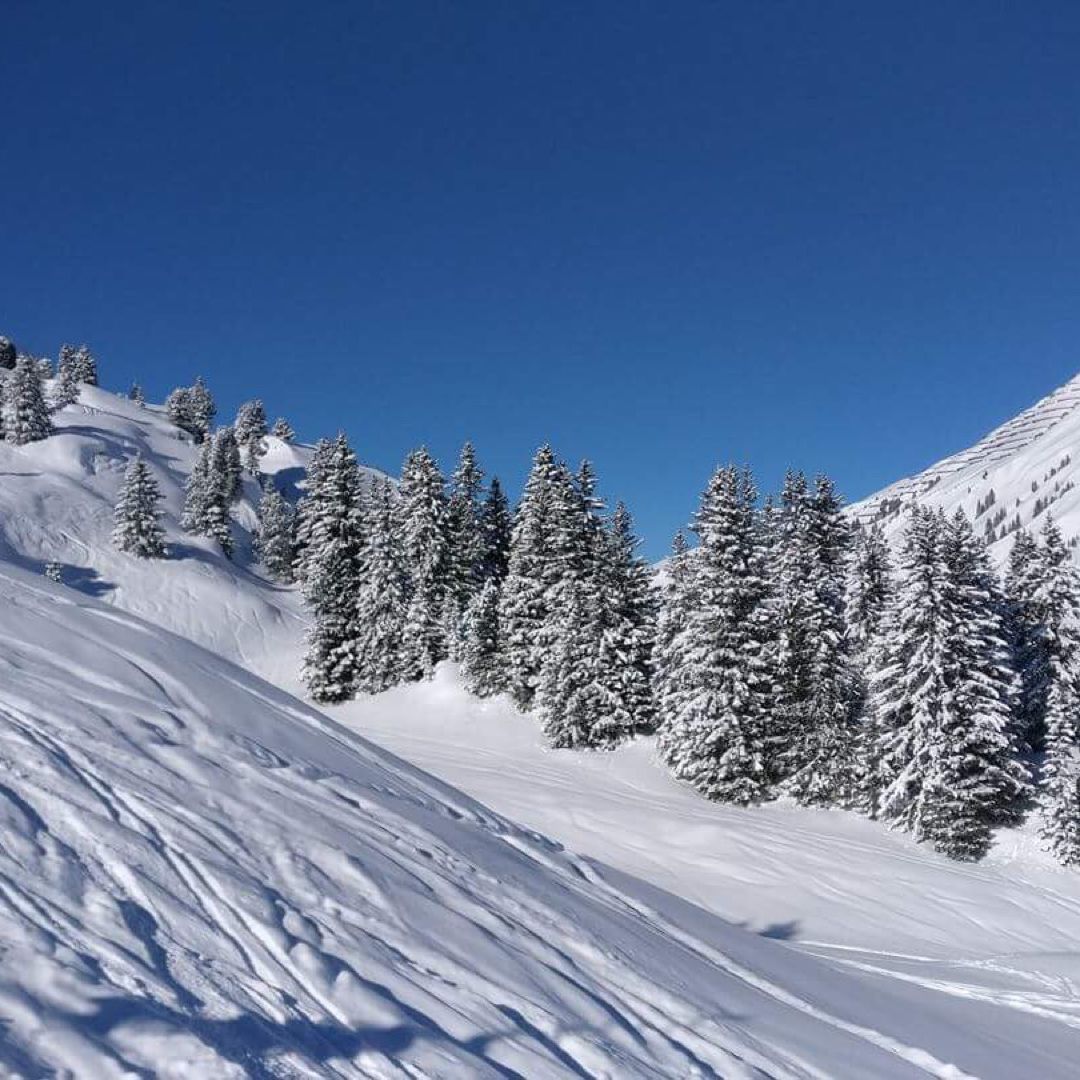 
Warth-Shröcken
 in Warth Am Arlberg