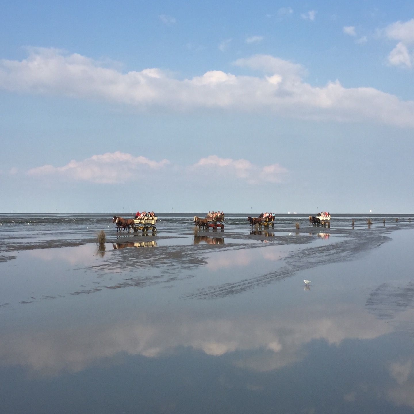 
Wattenmeer
 in Germany