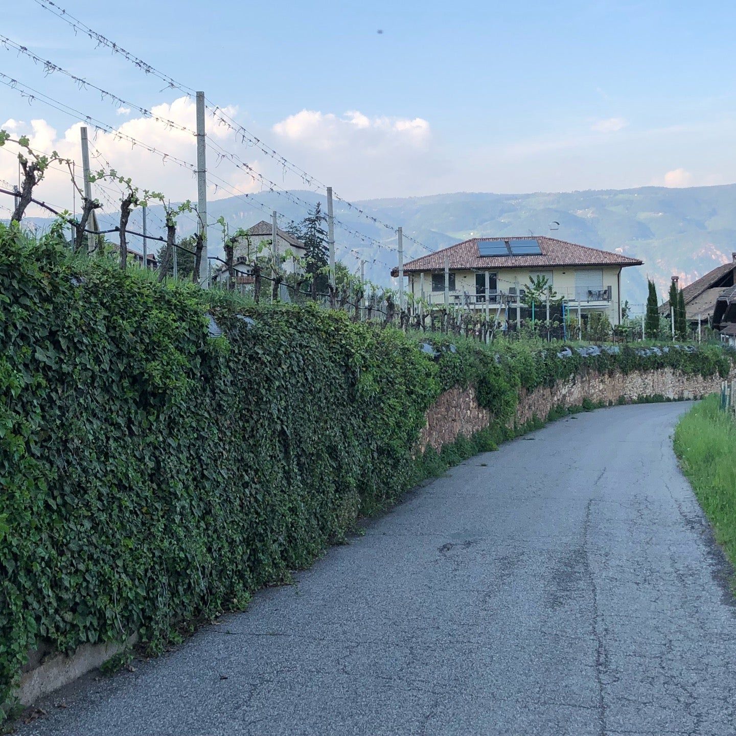 
Weingut Am Platzl
 in Bolzano And Surroundings