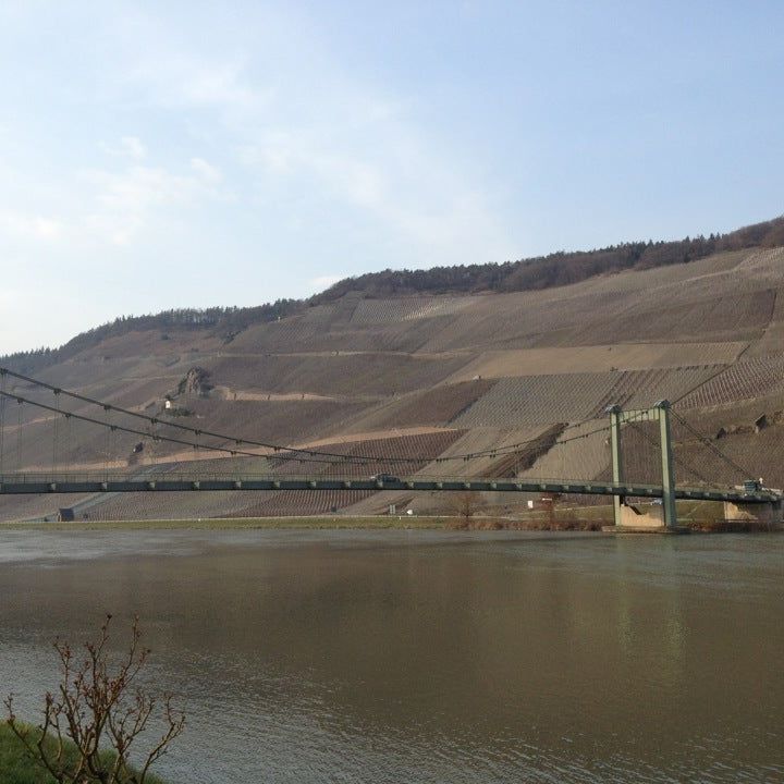 
Weingut Joh. Jos. Prüm (VDP)
 in Hunsrück